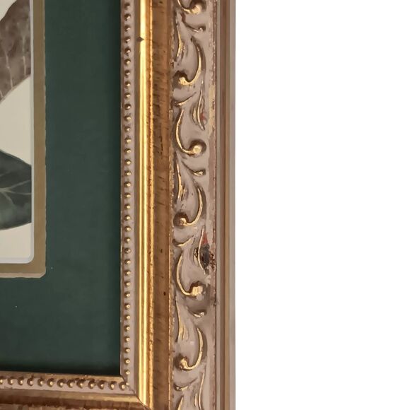 VTG Afternoon Magnolia Print By Waltraud Fuchs von Schwarzbek Matted & Framed - Picture 13 of 16